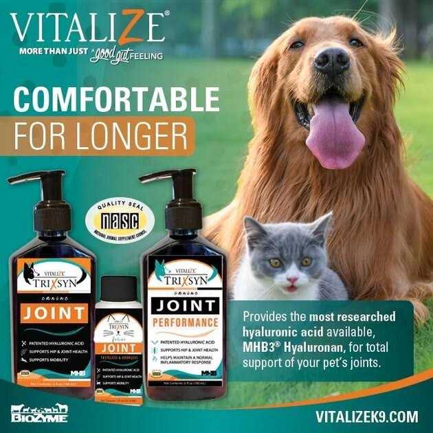 Vitalize Trixsyn Canine Joint Supplement - Pet Supplies online store