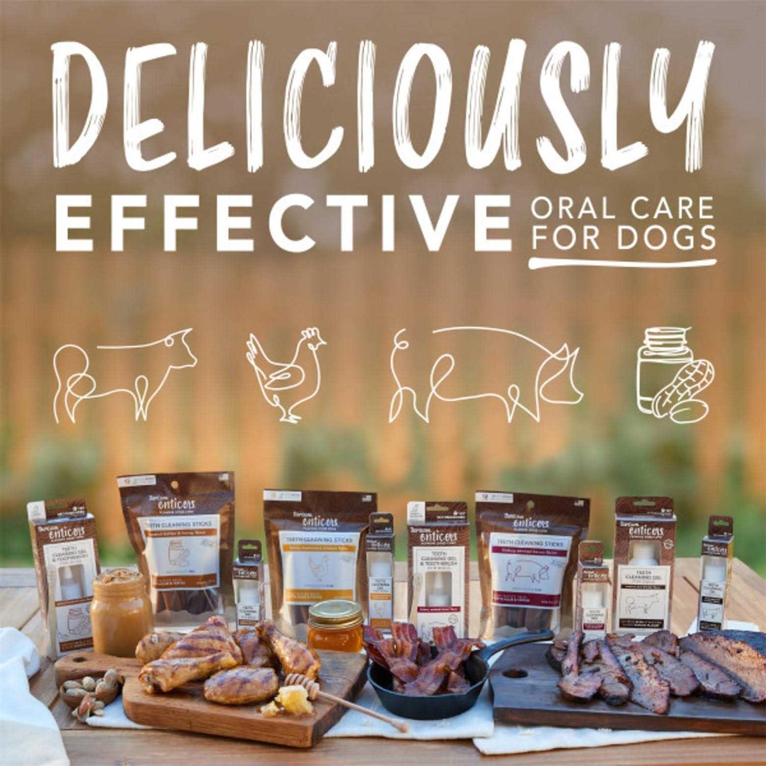 Tropiclean Enticers Teeth Cleaning Gel & Kong Dental Ball Beef Brisket - Pet Supplies online store