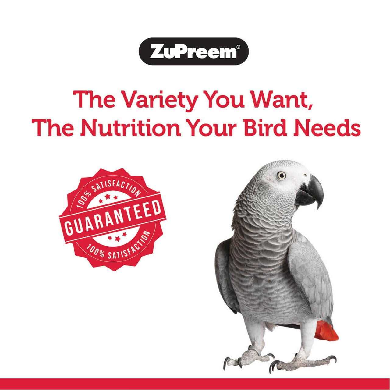 Zupreem FruitBlend Flavor Bird Food - Pet Supplies online store