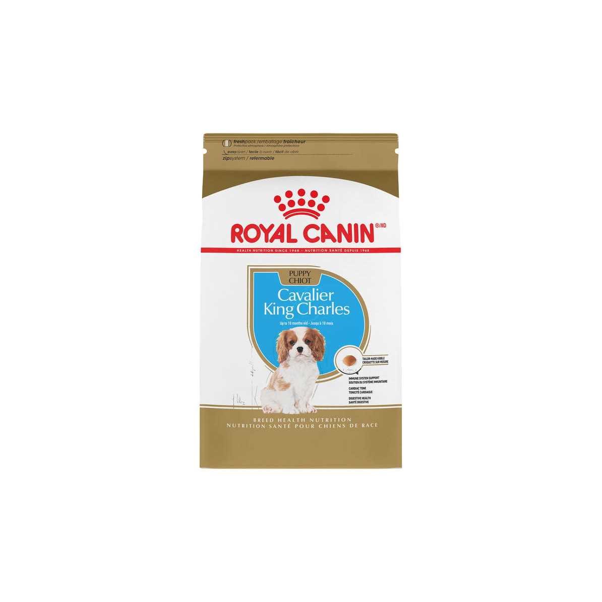 Royal Canin Breed Health Nutrition Cavalier King Charles Puppy Dry Dog Food - Pet Supplies online store