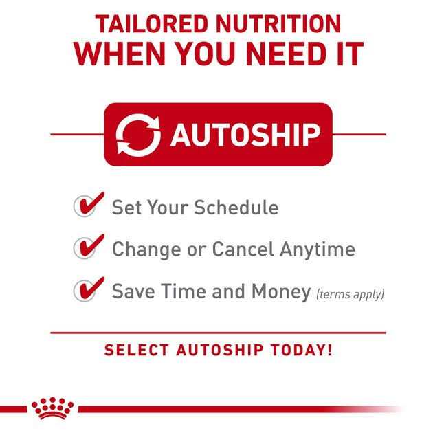 Royal Canin Feline Health Nutrition Adult Instinctive Chunks in Gravy Cat Food Pouch - Pet Supplies online store