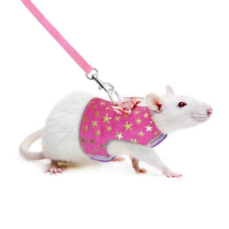 Stock Show Small Pet Outdoor Walking Harness Vest and Leash Set with Cute Bowknot Decor Chest Strap Harness for Rat Ferret Hamster Squirrel Clothes - Pet Supplies online store