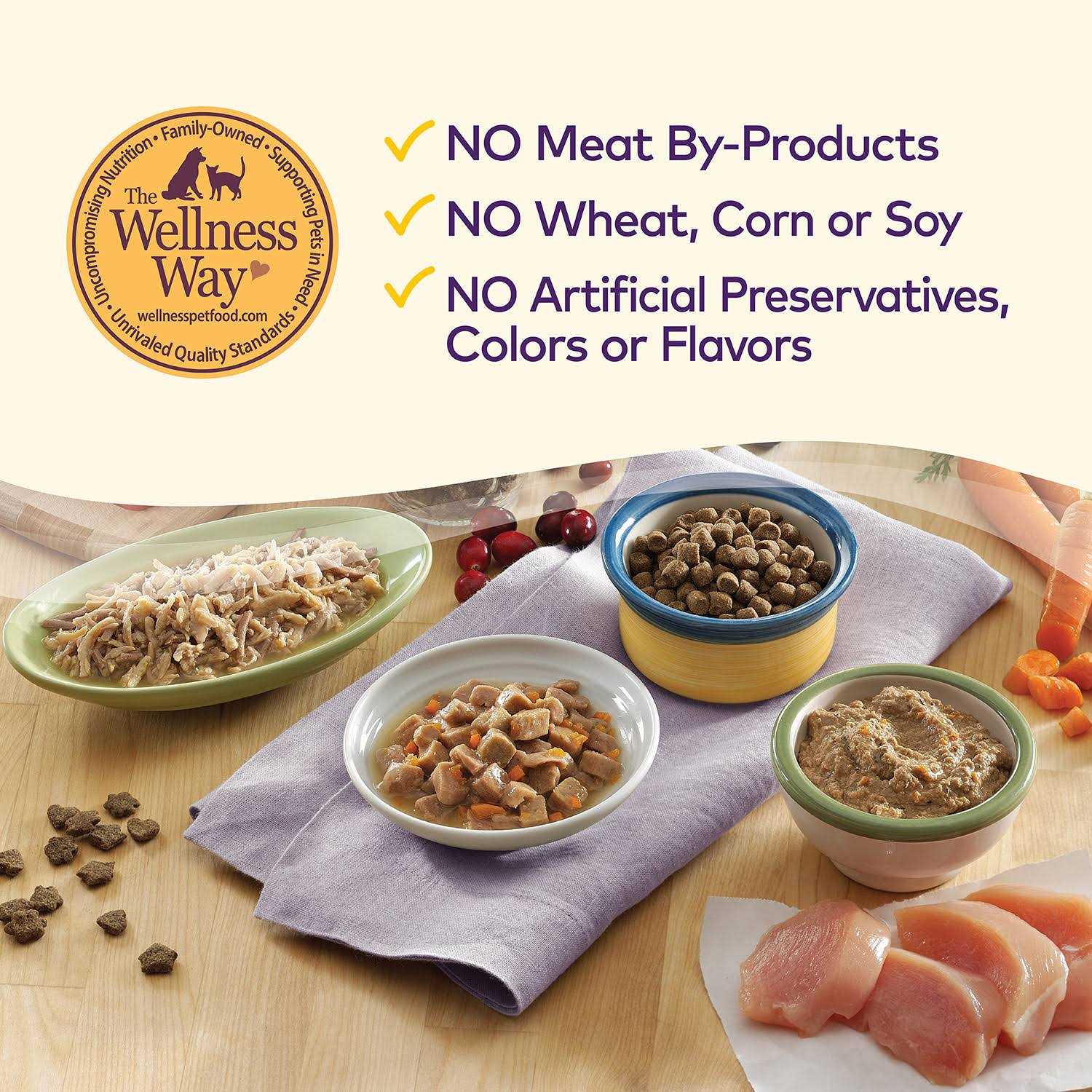 Wellness Complete Health Natural Grain Free Salmon & Herring Indoor Dry Cat Food - Pet Supplies online store