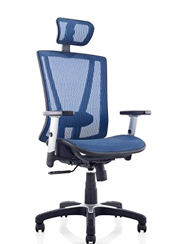 ErgoMax Ergonomic Adjustable All Mesh Breathable, Back Relief & Lumbar Support Home & Office Desk Chair, 53 Inch Max Height, Blue