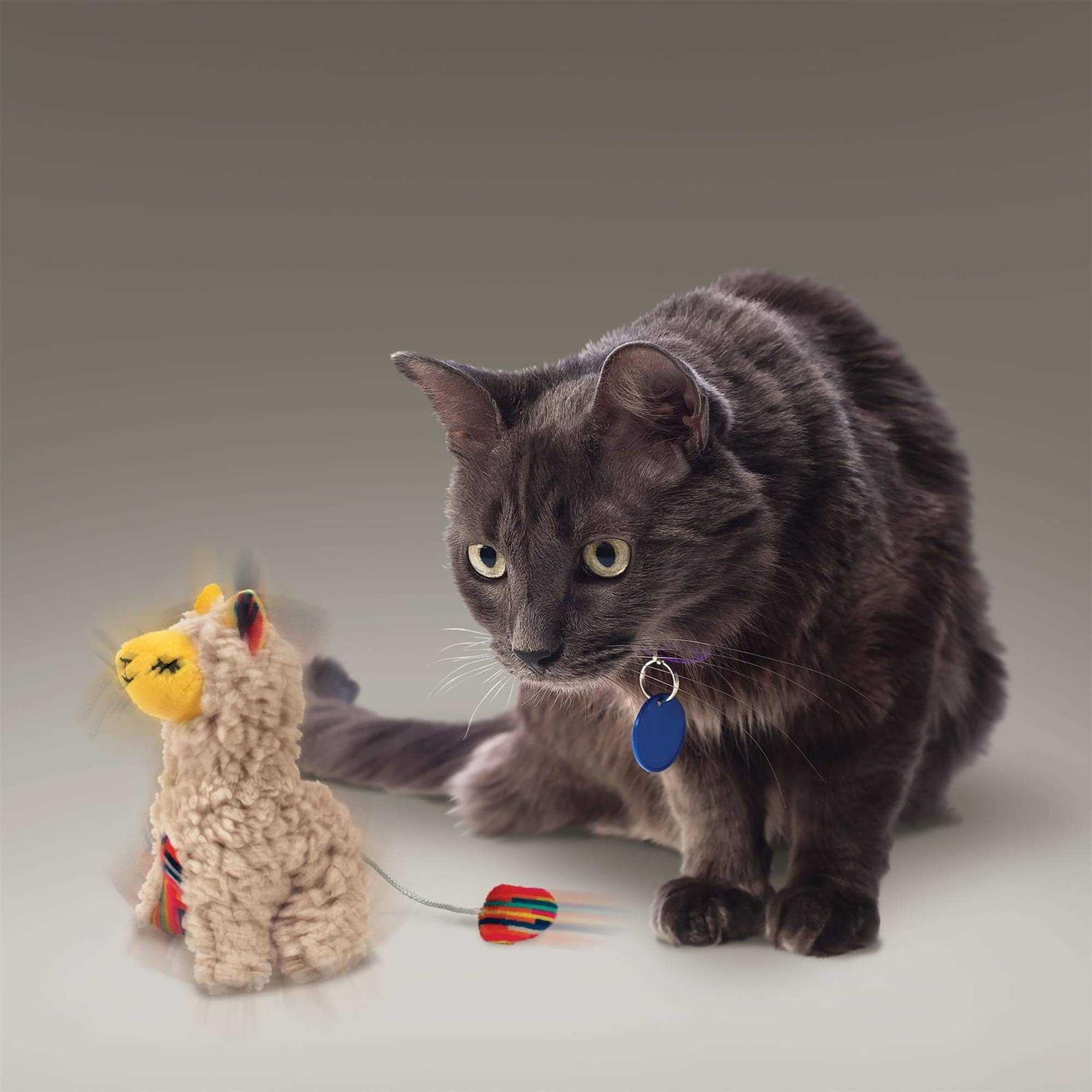 Kong Softies Buzzy Llama Cat Toy - Pet Supplies online store