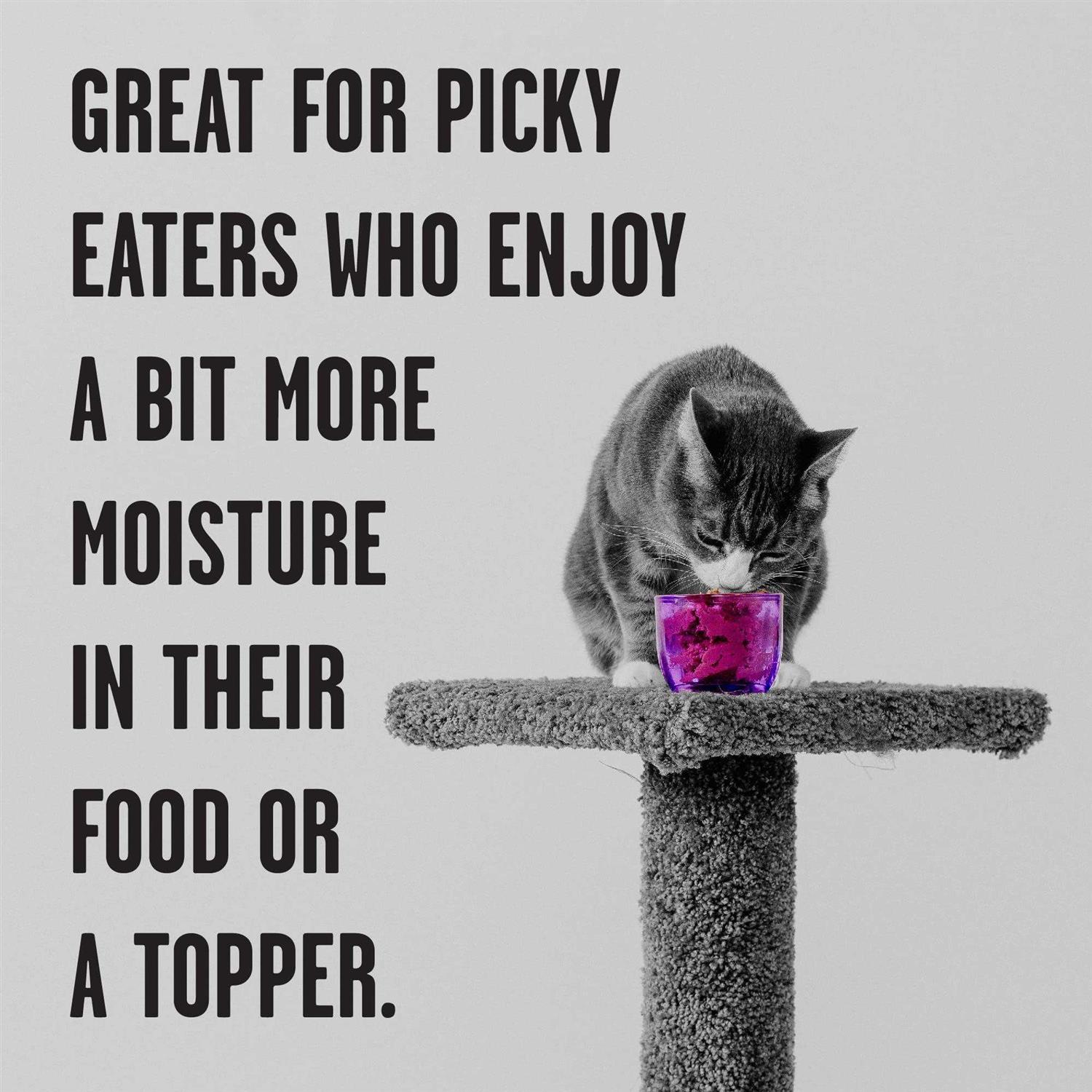 Bixbi Rawbble Chicken Recipe Shredded Canned Cat Food - Pet Supplies online store