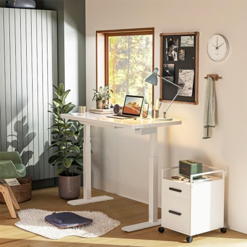 Glass Tabletop Standing Desk (White)