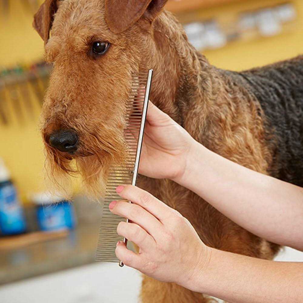 Andis Steel Comb 7.5 - Pet Supplies online store