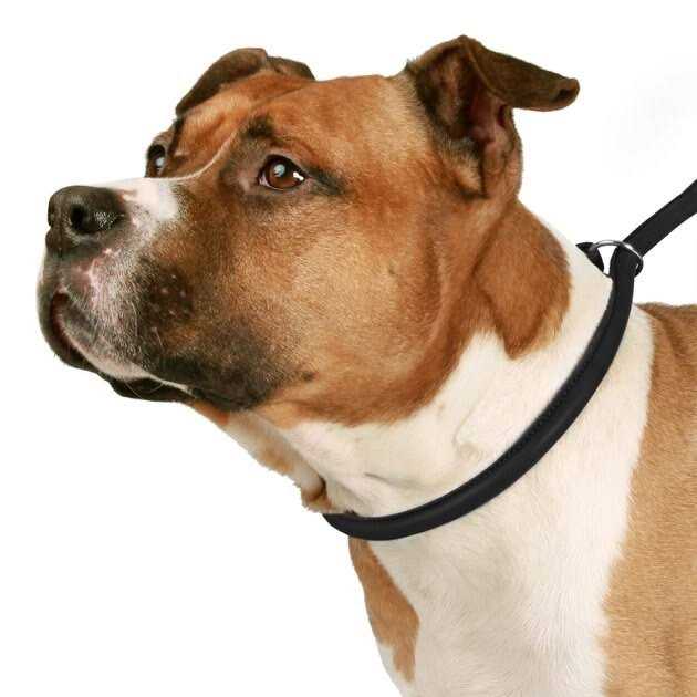CollarDirect Rolled Leather Dog Leash 4ft Soft Padded Training Leather Dog Lead 6ft - Pet Supplies online store