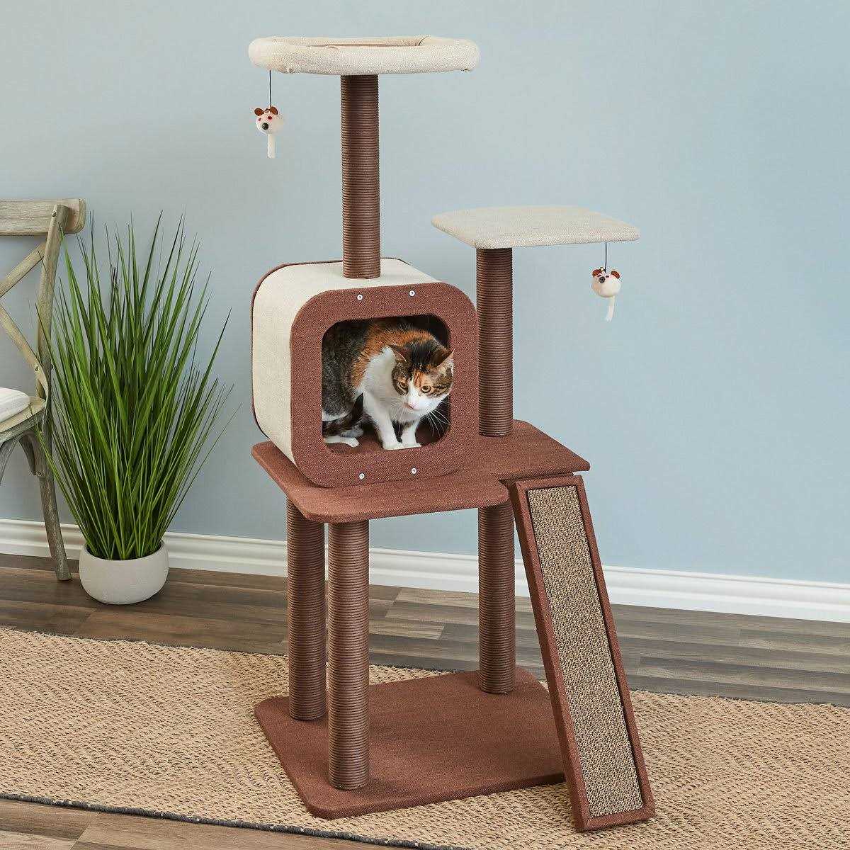 Two by Two Redwood Cat Tree and Condo - Pet Supplies online store