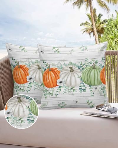 Outdoor Pillow Covers Waterproof, Orange Green White Pumpkins Throw Pillowcase Decorative Cover, Rustic Eucalyptus Wooden Garden Cushion Case Set of 2 for Sofa, Couch, Tent, Patio, 16