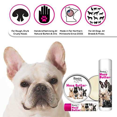 The Blissful Dog Bulldog Unscented Nose Butter - Pet Supplies online store