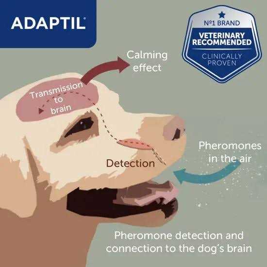 Adaptil 30 Day Starter Kit - Pet Supplies online store