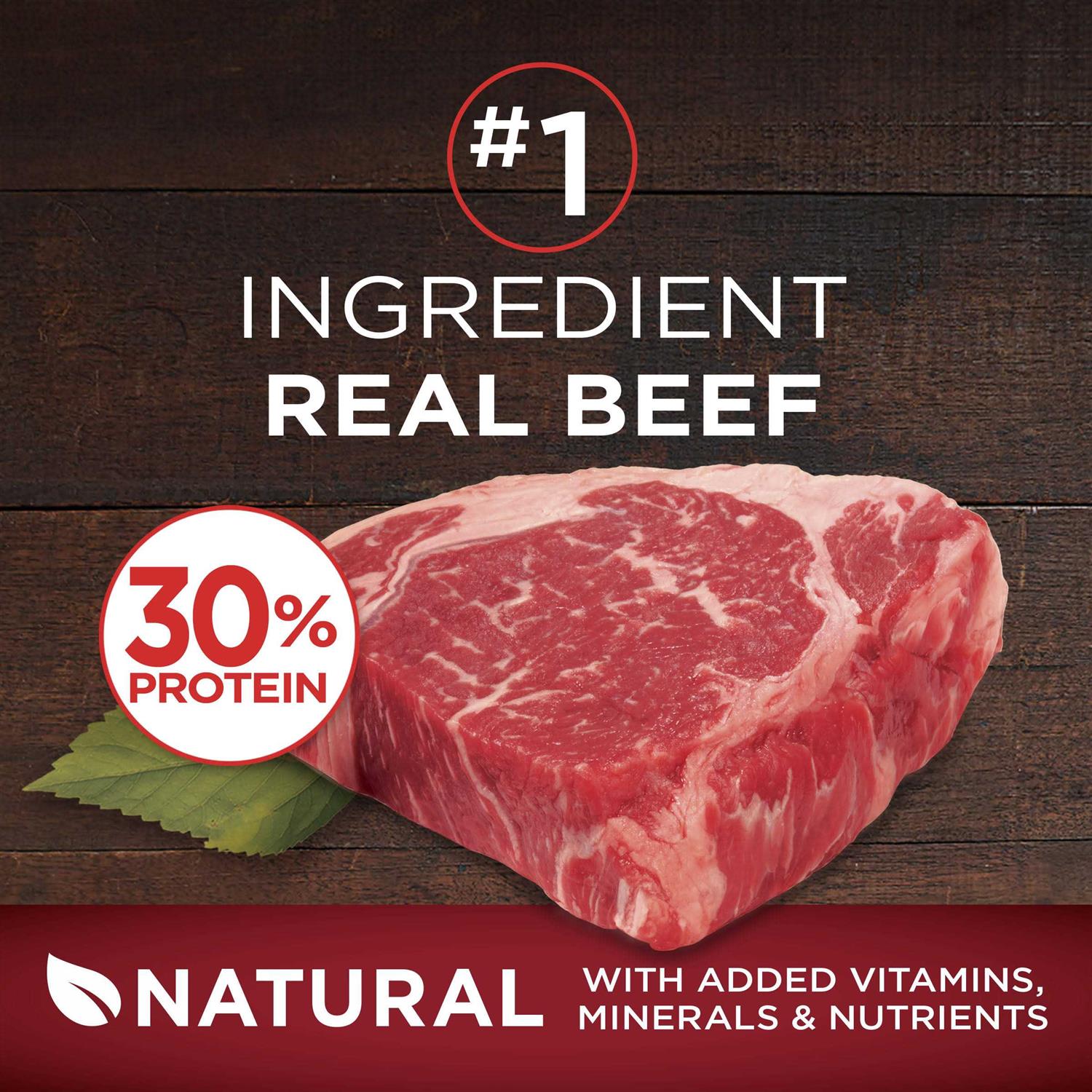 Purina ONE Grain Free Natural Dry Dog Food - Pet Supplies online store