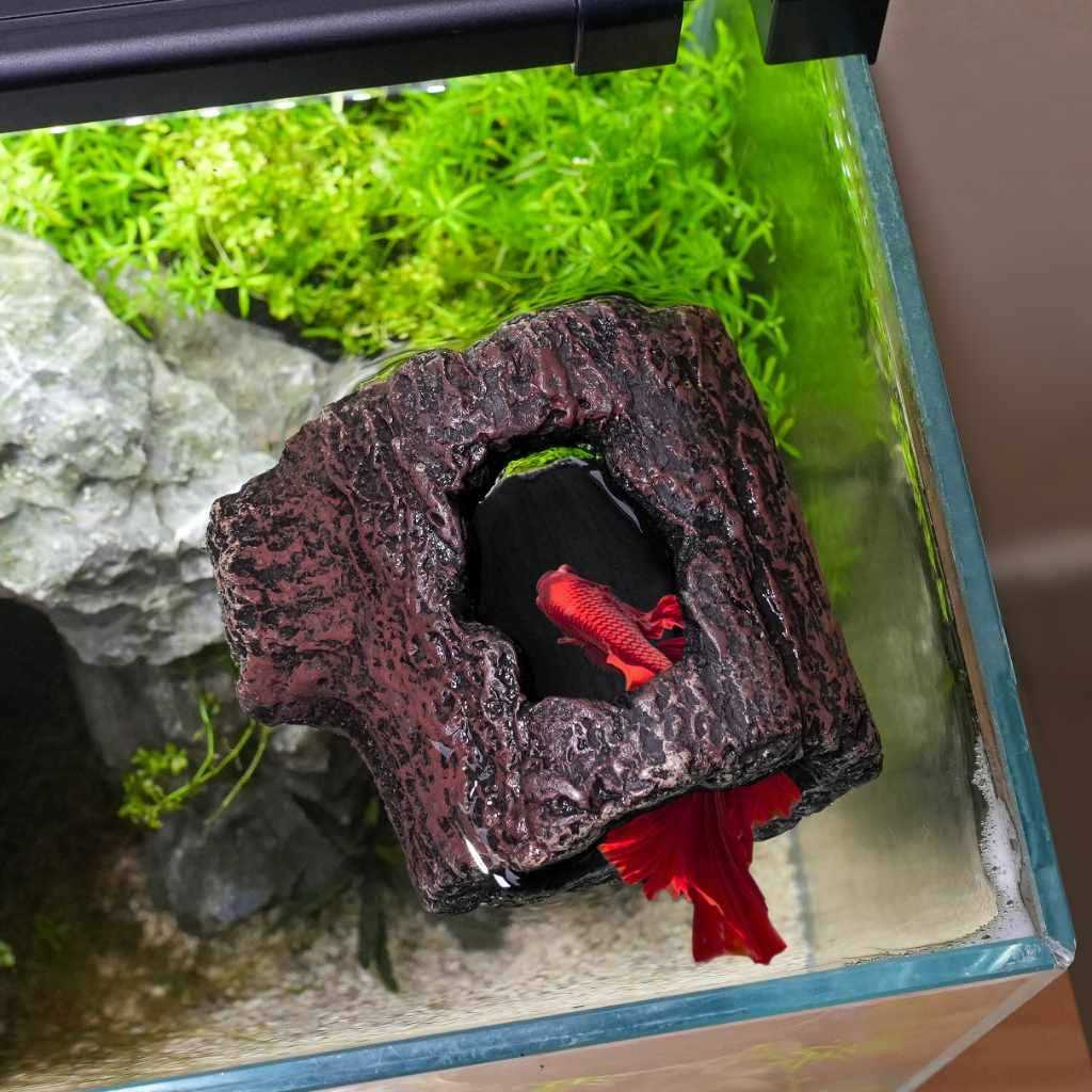 Zoo Med Betta Floating Log - Pet Supplies online store
