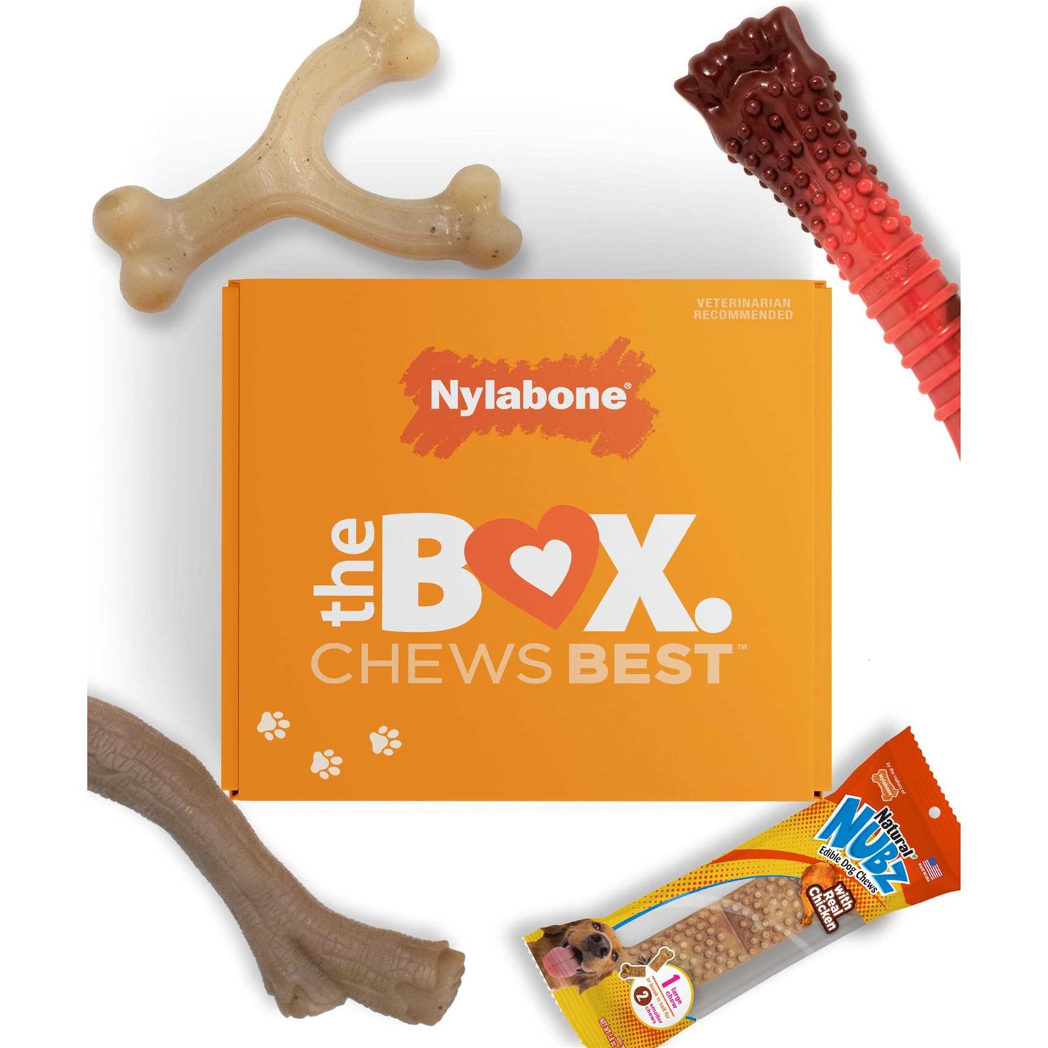 Nylabone The Box Chew Toy & Treat Gift Box Dogs - Pet Supplies online store