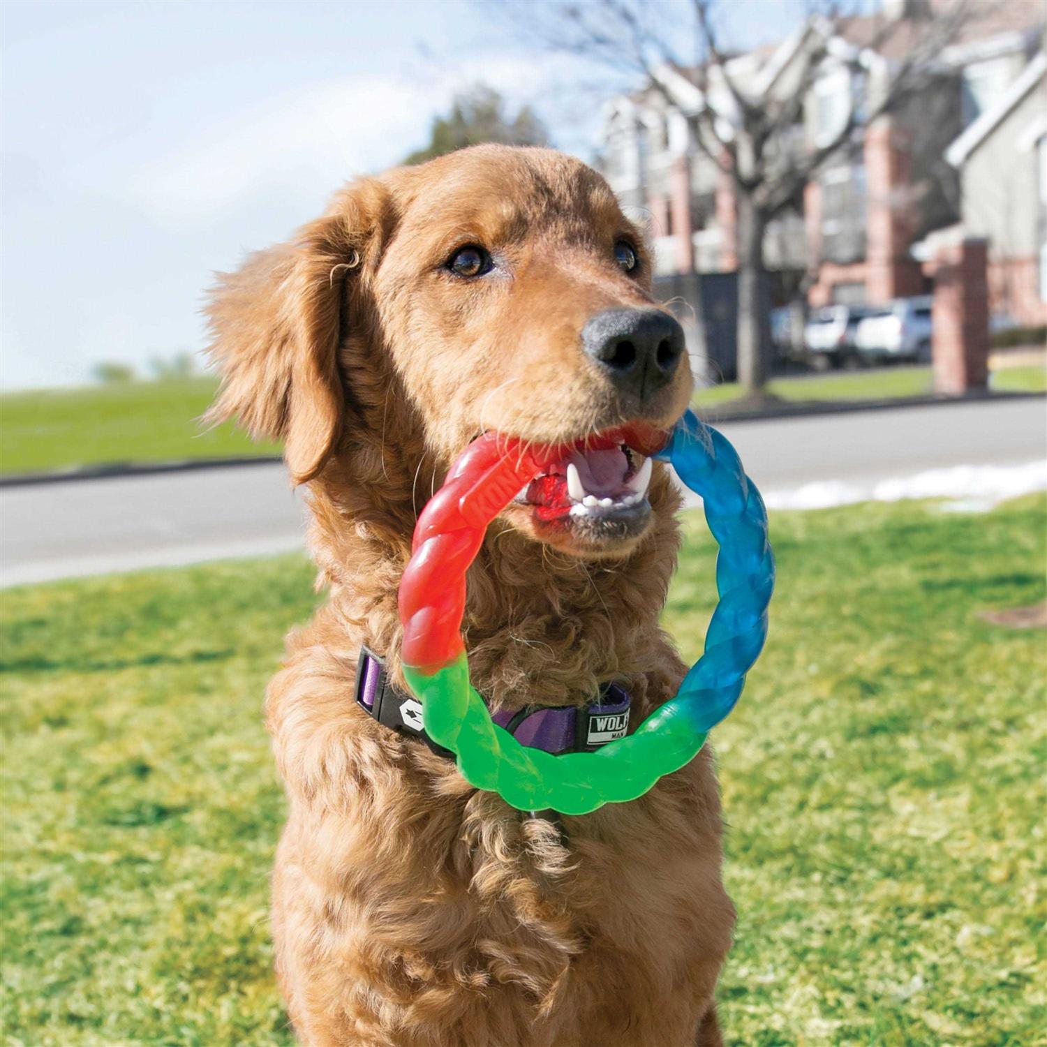KONG Twistz Ball Dog Toy - Pet Supplies online store