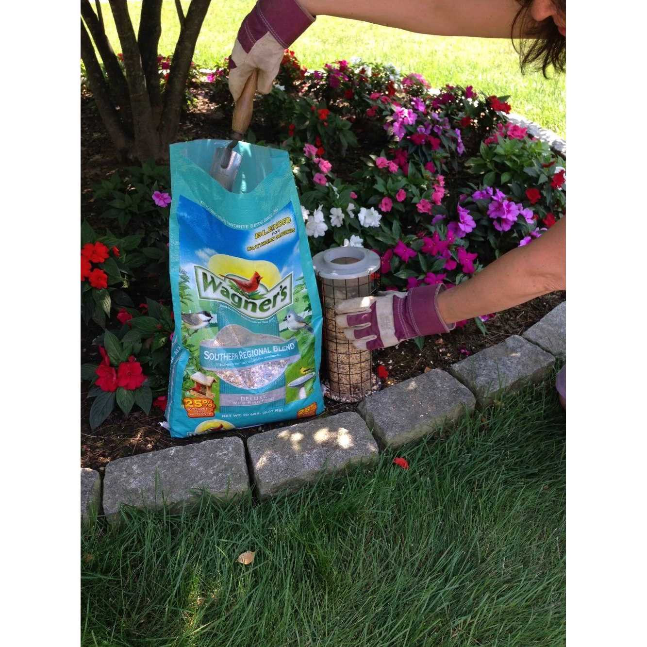 Wagner's 62012 Southern Regional Blend Wild Bird Food - Pet Supplies online store