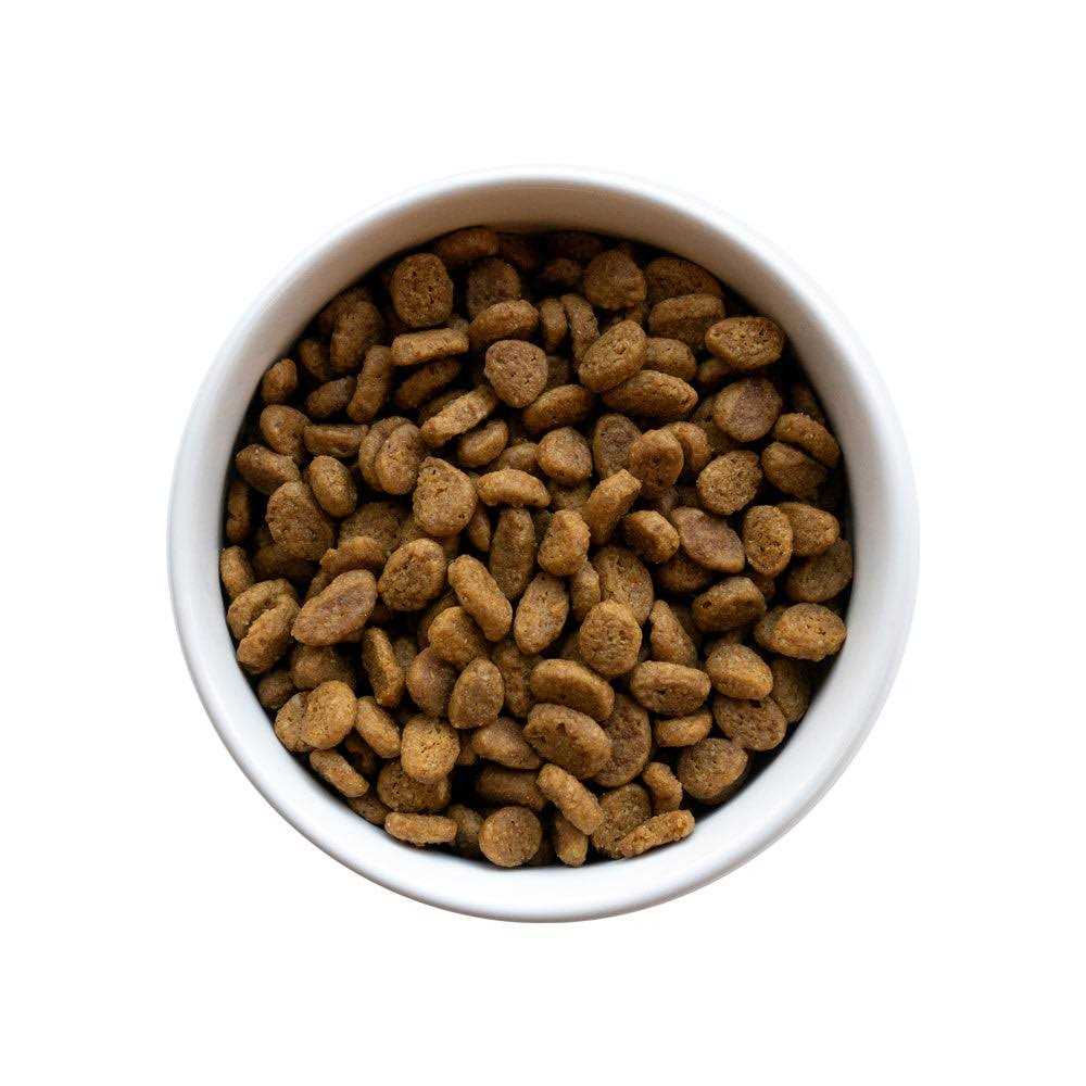 Purina Pro Plan LIVECLEAR Senior Adult Prime Plus Longer Life Formula Cat Food - Pet Supplies online store