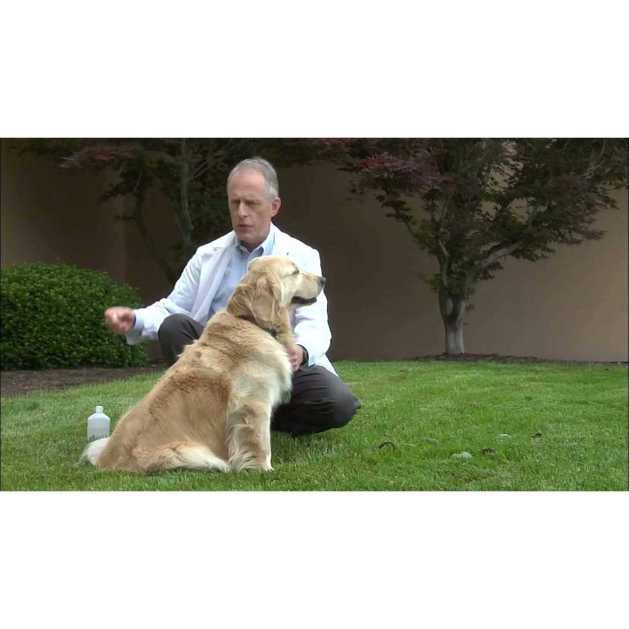 Spectra 5 Canine Vaccine - Pet Supplies online store