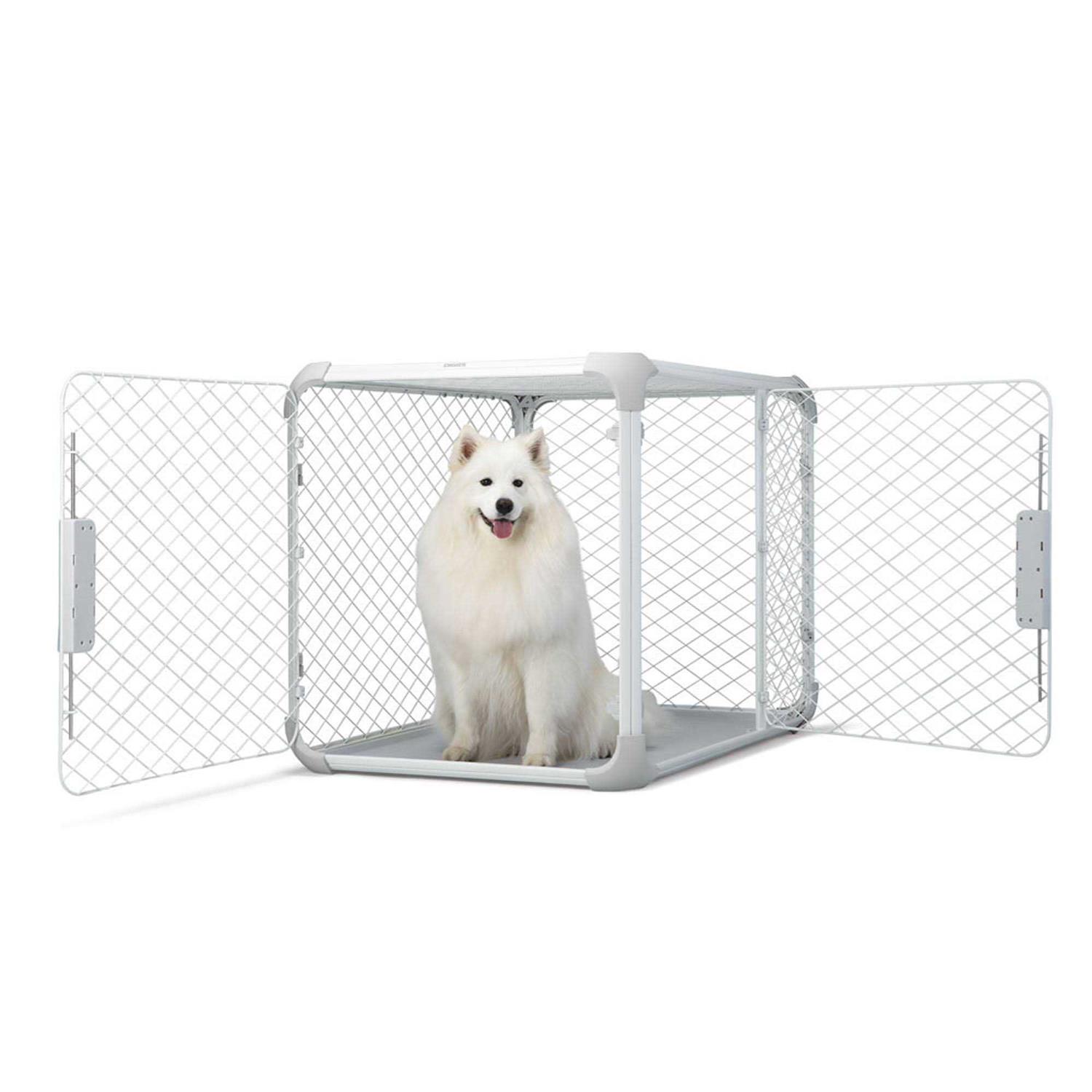 Diggs Evolv Dog Crate - Pet Supplies online store
