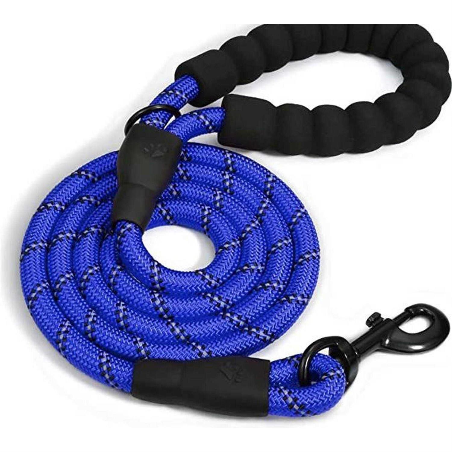 Doggy Tales Braided Dog Leash - Pet Supplies online store