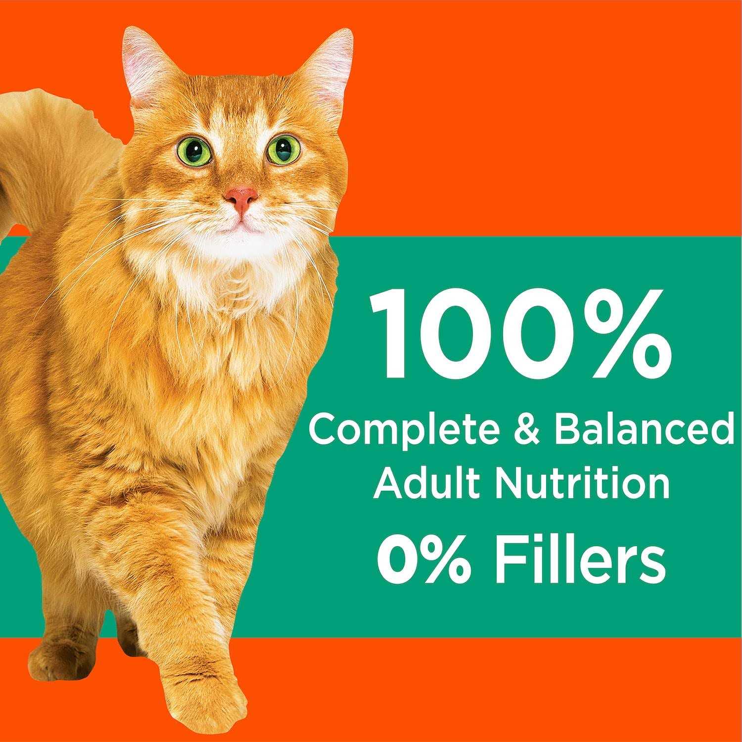 IAMS ProActive Health Hairball Care Adult Cat Dry Food - Pet Supplies online store