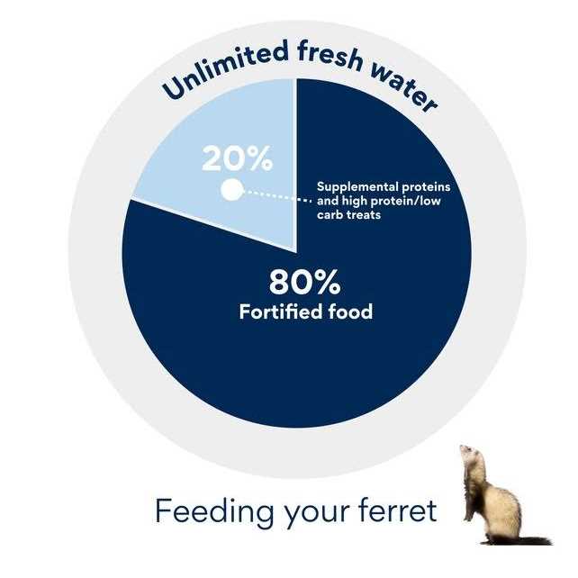 Wysong Ferret Archetype Formula - Pet Supplies online store