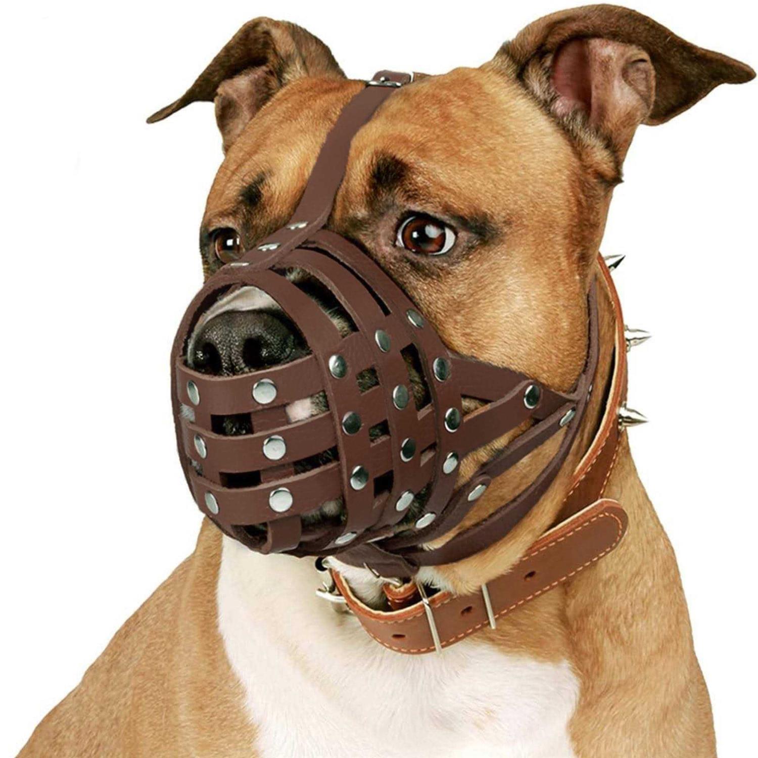 CollarDirect Dog Muzzle Pitbull Amstaff Basket Genuine Leather Staffordshire Terrier - Pet Supplies online store