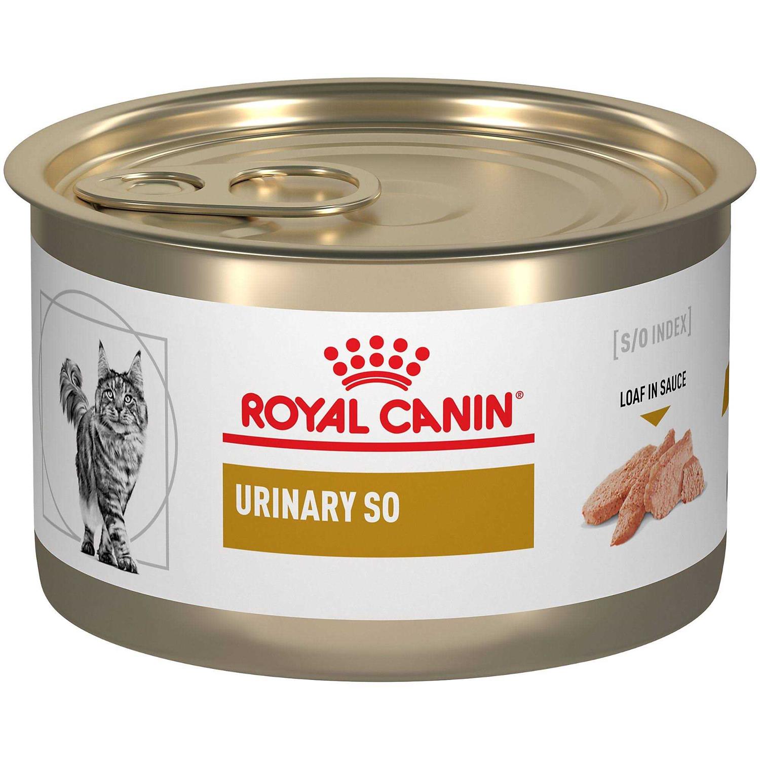 Royal Canin Urinary So in Gel Canned Wet Cat Food - Pet Supplies online store