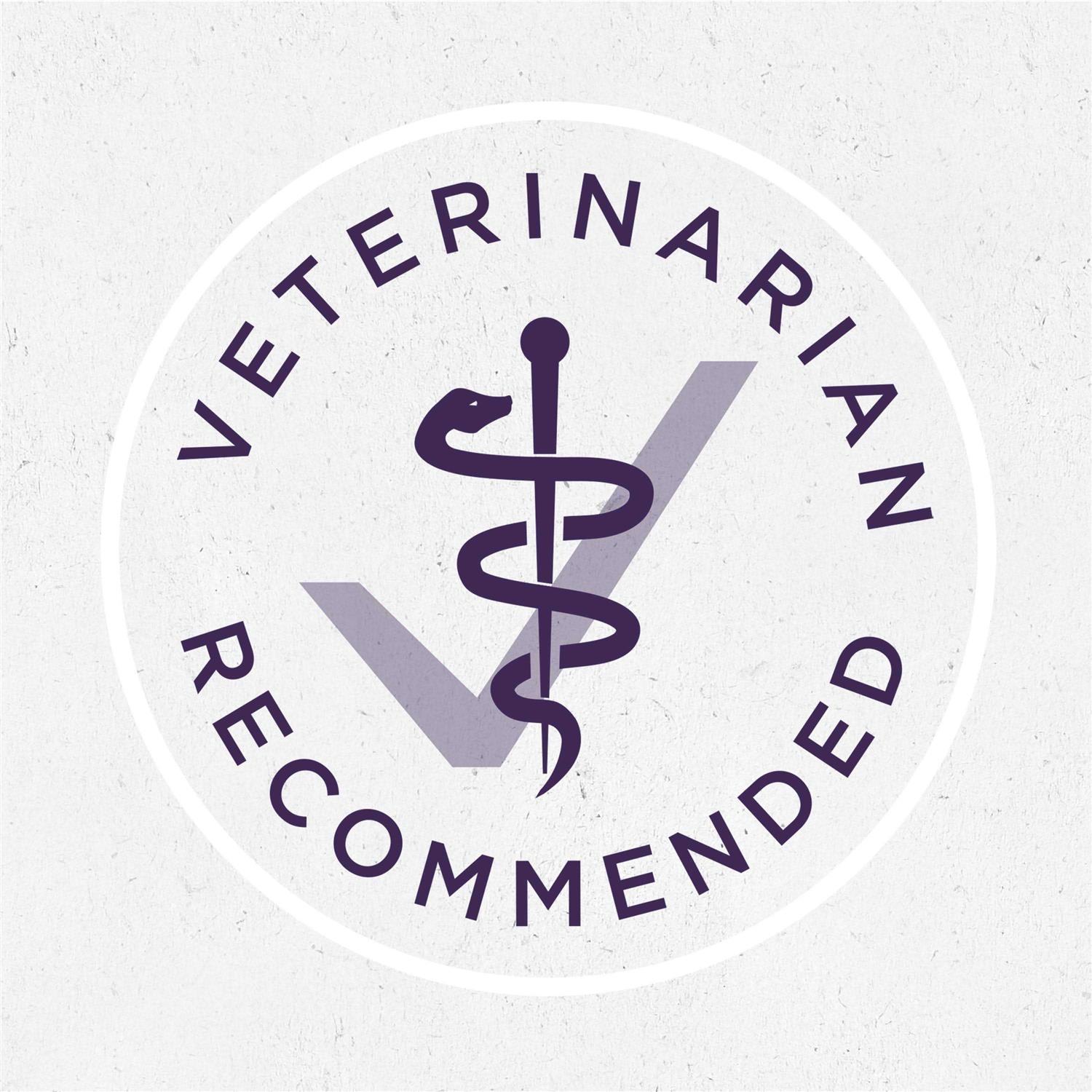 Purina ONE Classic Ground Chicken & Brown Rice Adult Wet Dog Food - Pet Supplies online store