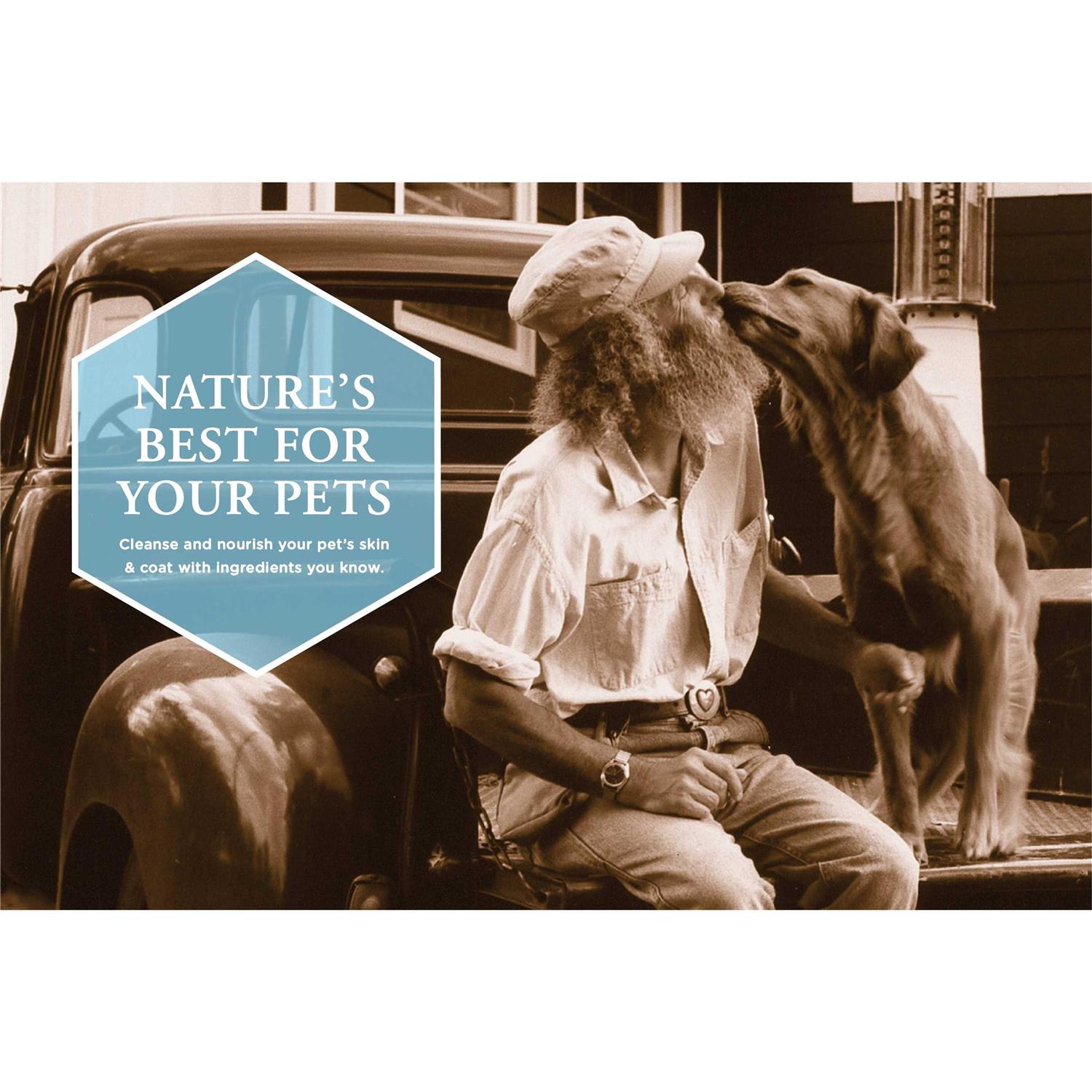 Burt's Bees Oatmeal Dog Shampoo - Pet Supplies online store