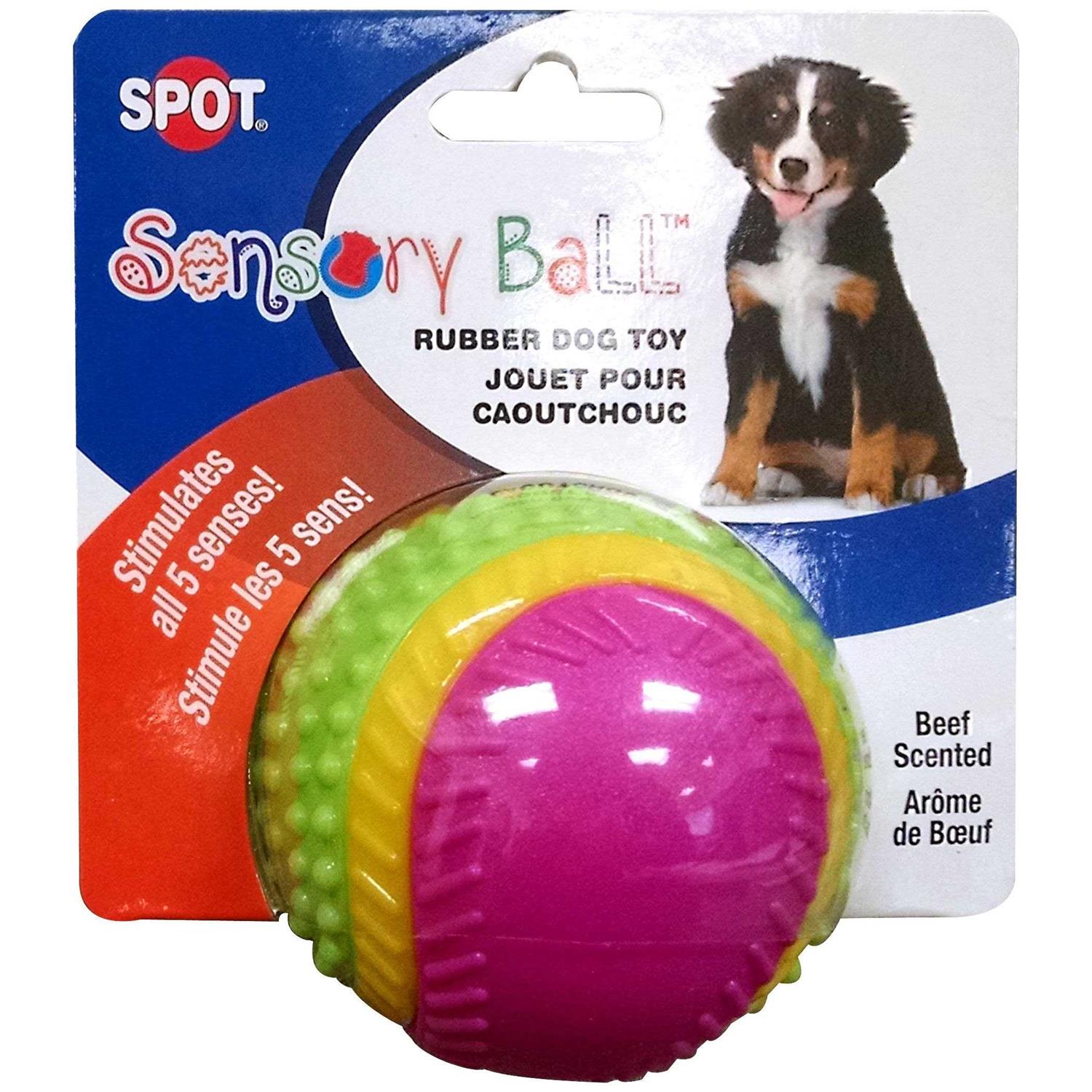 Ethical Pets Sensory Ball Dog Toy - Pet Supplies online store