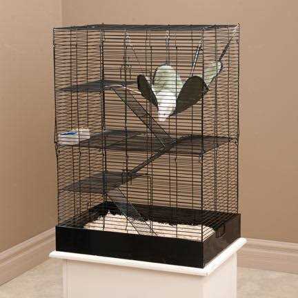 You & Me Rat Manor Habitat 16.5 L X 22.5 W X 32 H - Pet Supplies online store