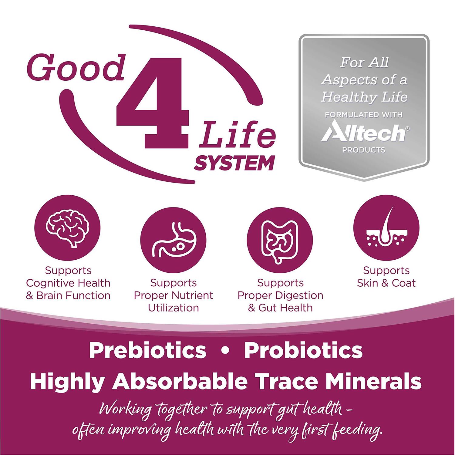 NutriSource Cat Kitten Dry Food, Chicken Rice - Pet Supplies online store