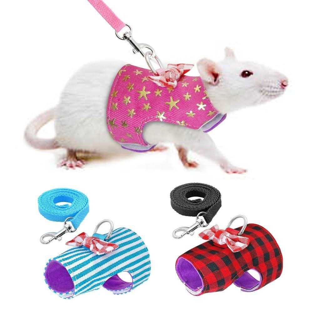 Stock Show Small Pet Outdoor Walking Harness Vest and Leash Set with Cute Bowknot Decor Chest Strap Harness for Rat Ferret Hamster Squirrel Clothes - Pet Supplies online store