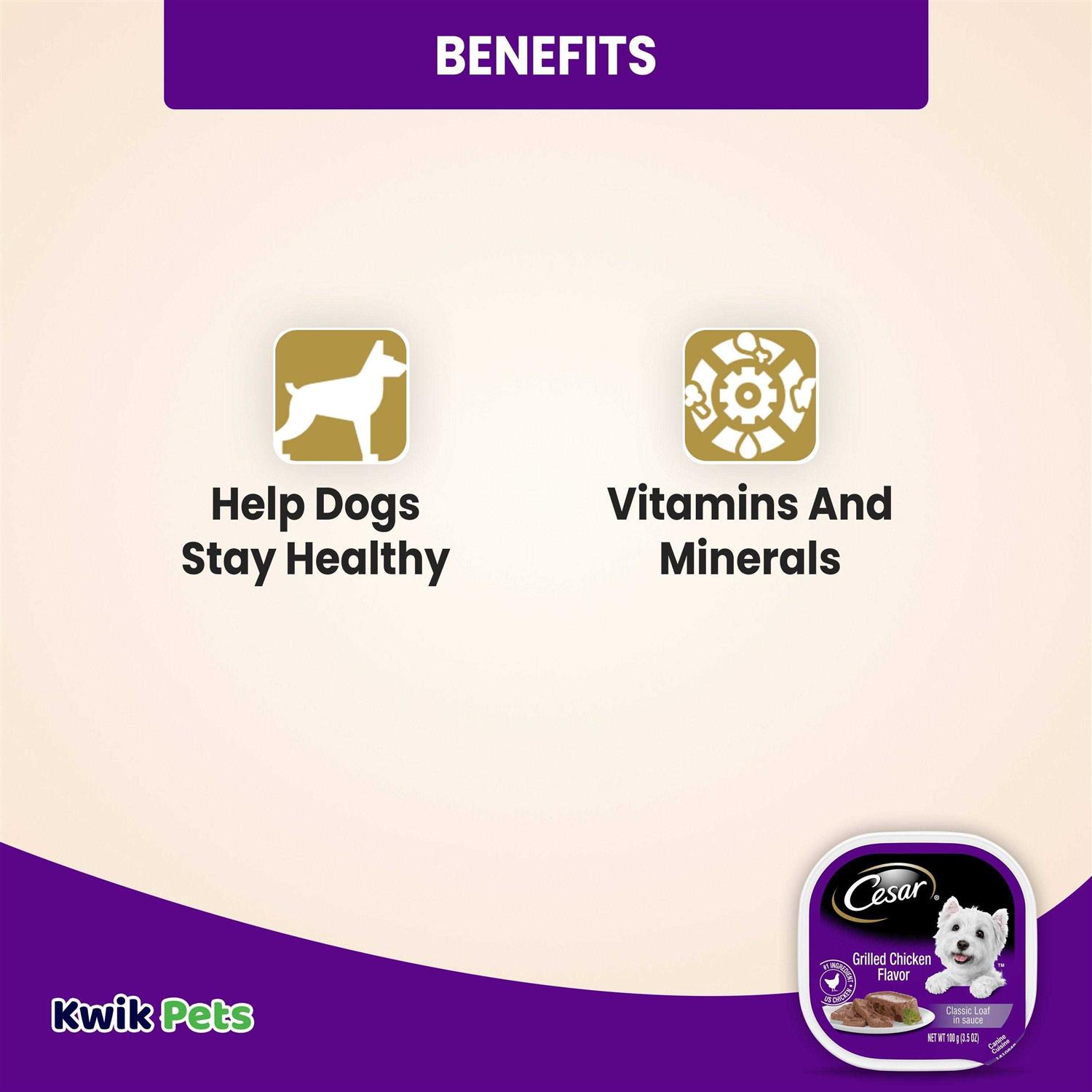Cesar Grilled Dog Food - Pet Supplies online store
