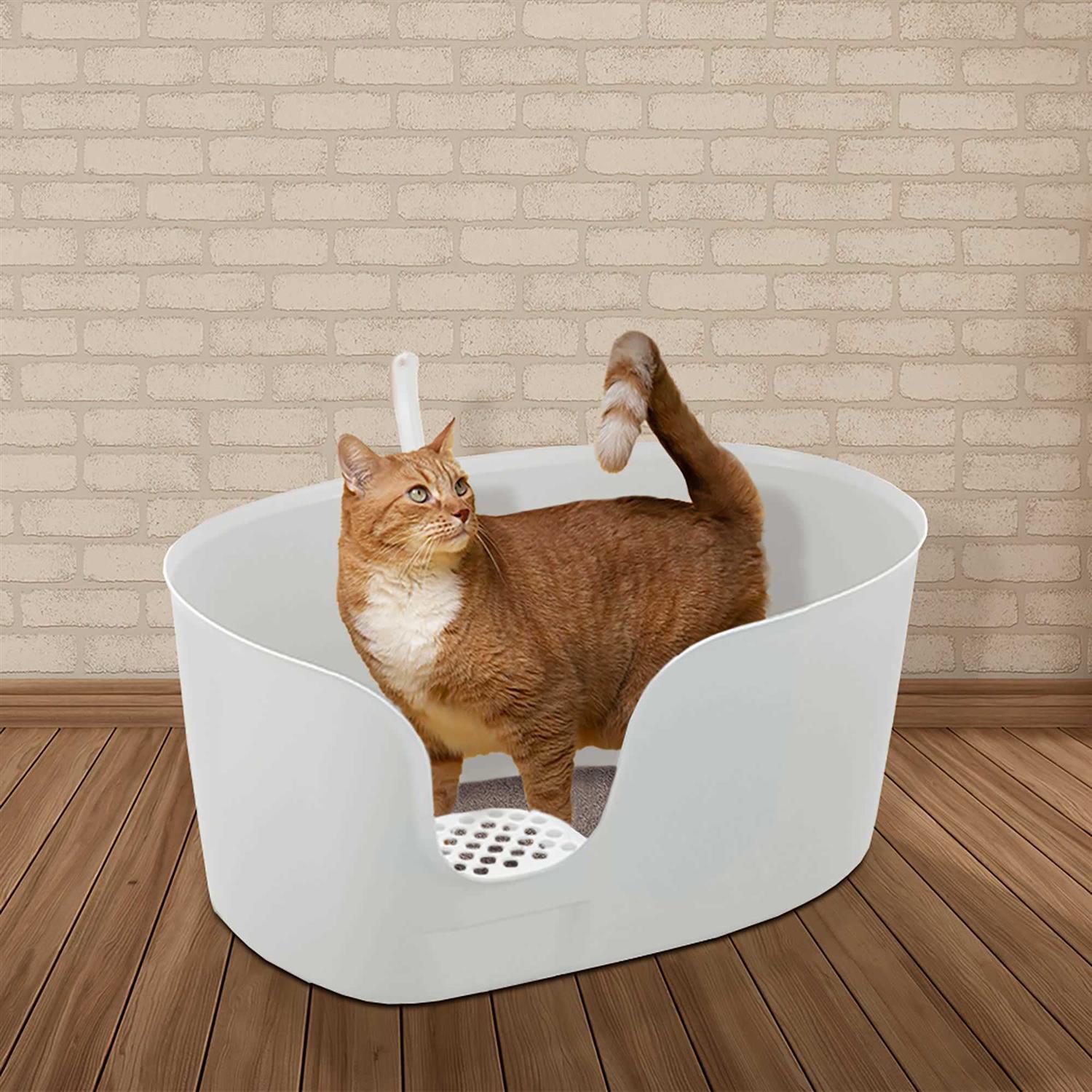 Richell PAW TRAX High Wall Cat Litter Box XL - Pet Supplies online store
