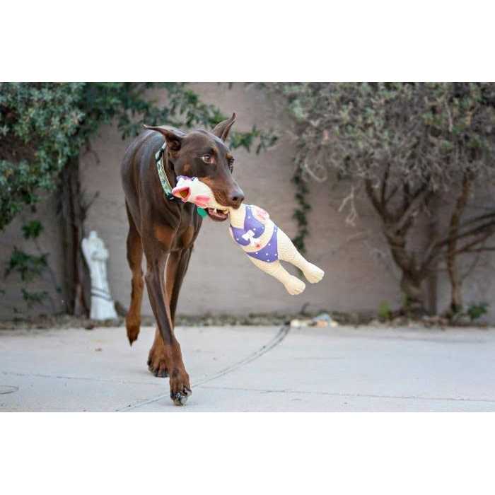 Charming Pet Squawkers Earl Dog Toy - Pet Supplies online store