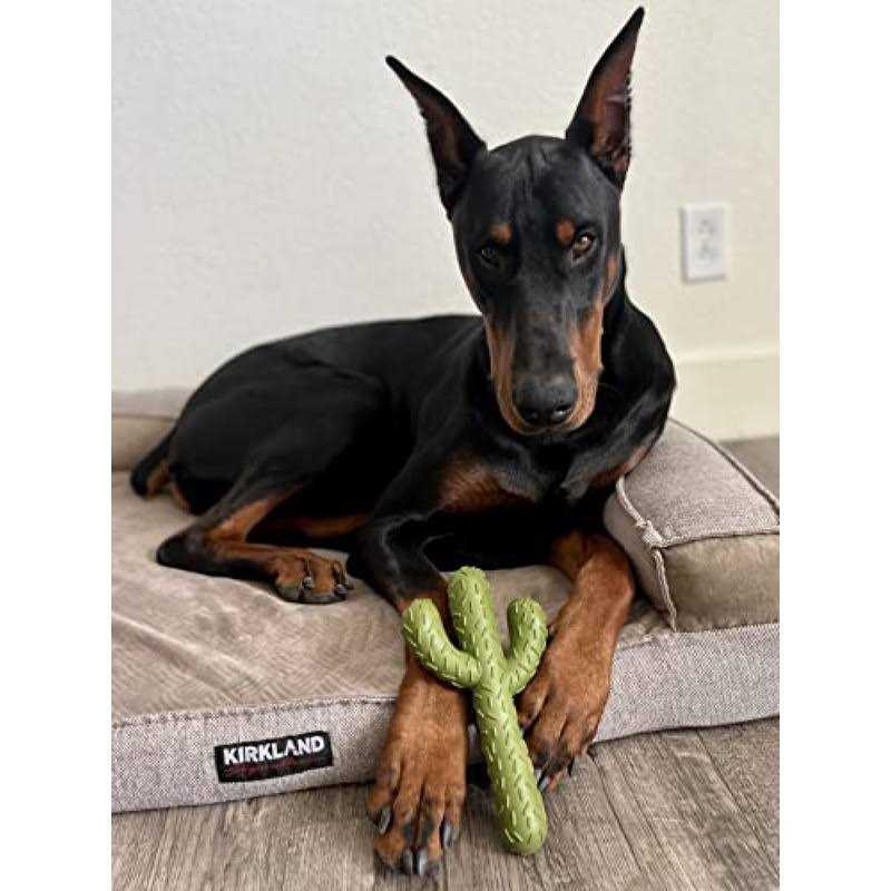 Carllg Puppy Teething Chew Toys, Dog Chew Toys Corn Stick Tough Toys for Training and Cleaning Teeth - Pet Supplies online store