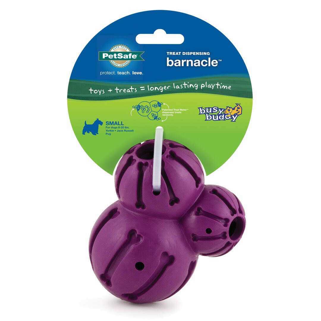Busy Buddy Barnacle - Pet Supplies online store