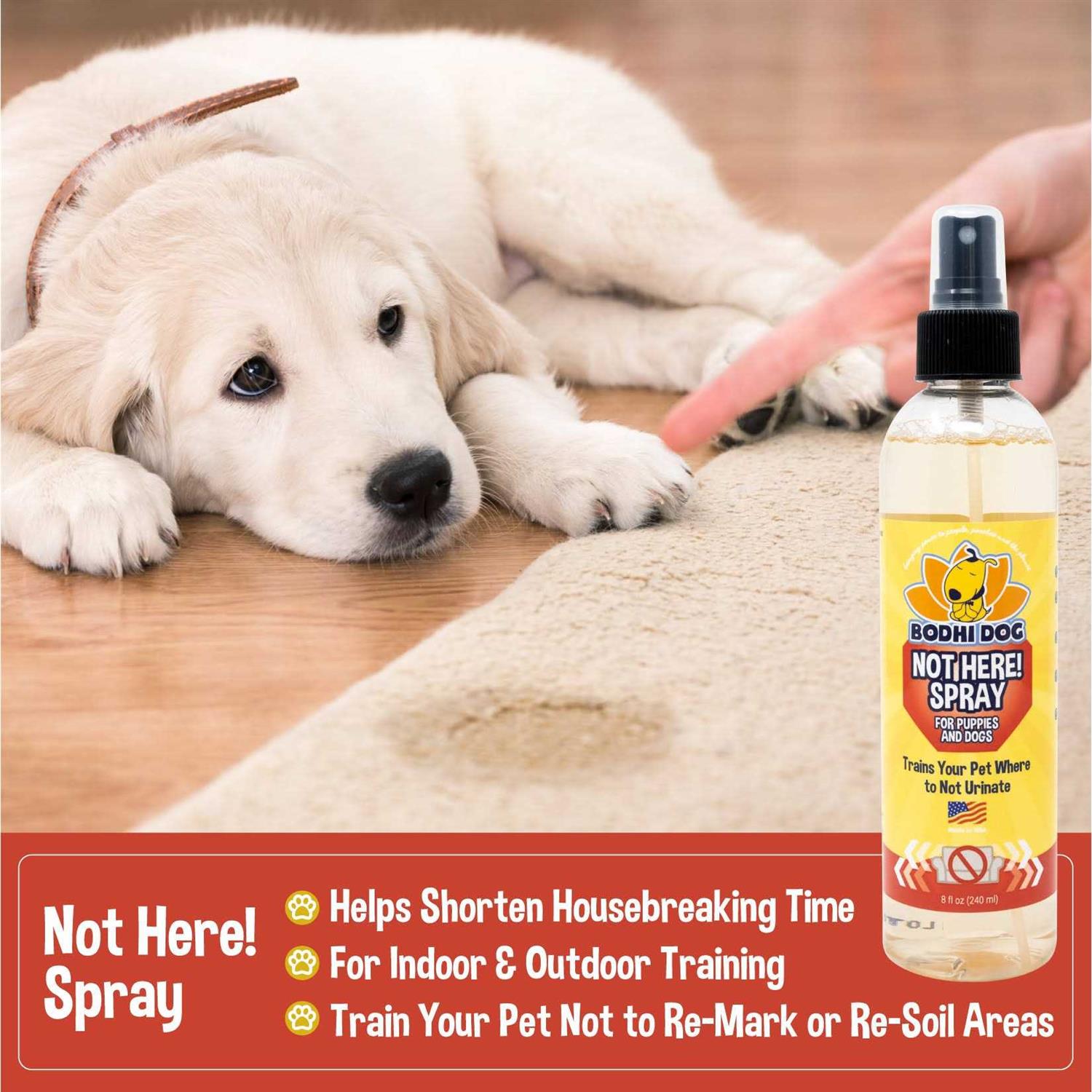 Bodhi Dog Not Here! Spray Trains Your Pet Where Not to Urinate - Pet Supplies online store