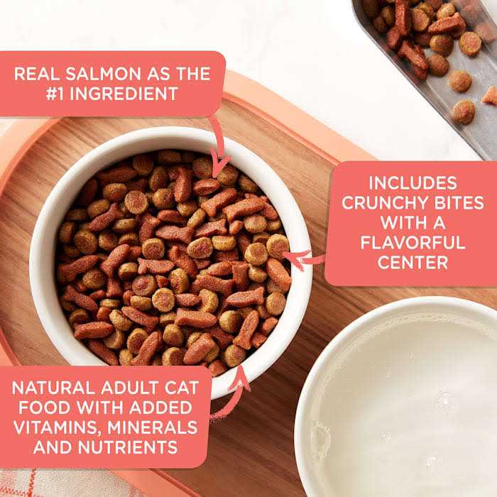 Rachael Ray Nutrish Savory Bites Dry Cat Food - Pet Supplies online store