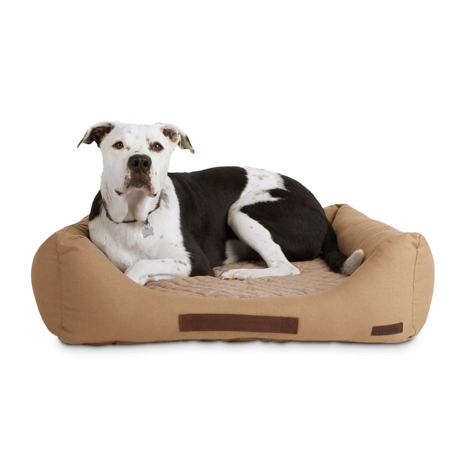 Reddy Seasonless Dog Bed - Pet Supplies online store