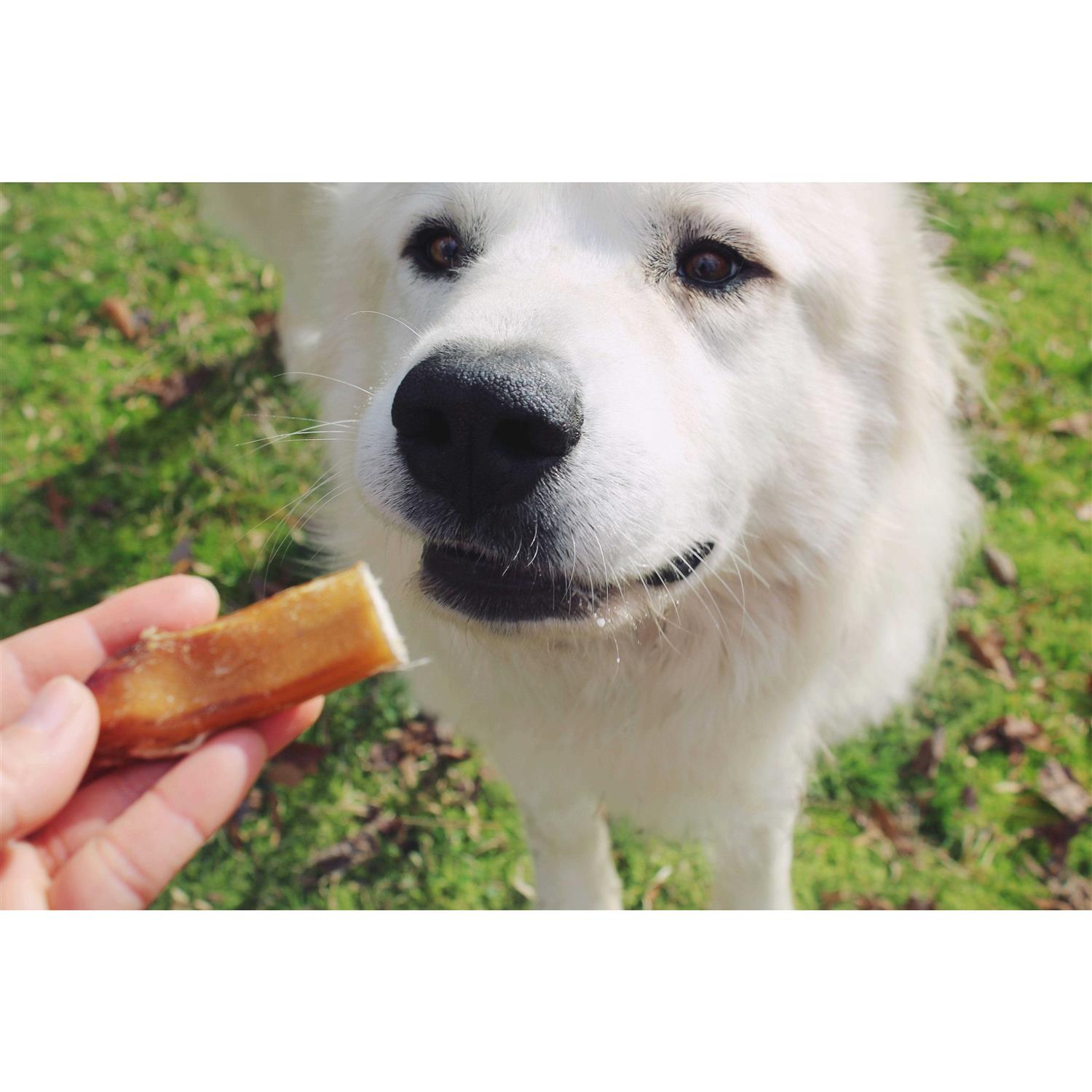 Redbarn Bully Bites - Pet Supplies online store