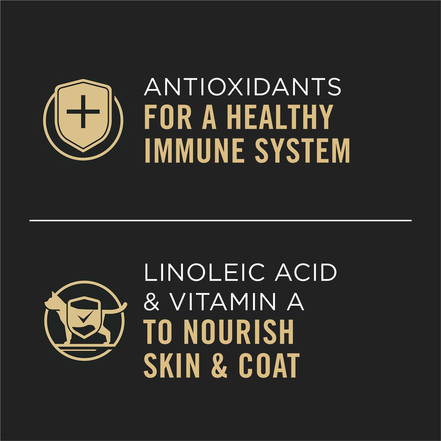Purina Pro Plan Grain Free Pate Wet Cat Food, Complete Essentials Turkey and Vegetables Entree - Pet Supplies online store