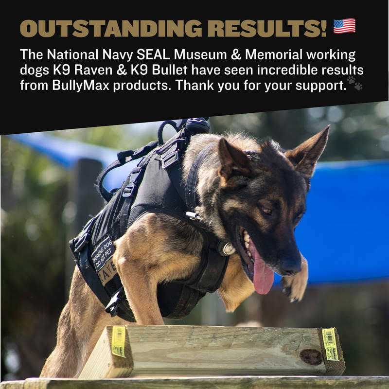 Bully Max Pro Series 11-in-1 Muscle Gain Chews - Pet Supplies online store