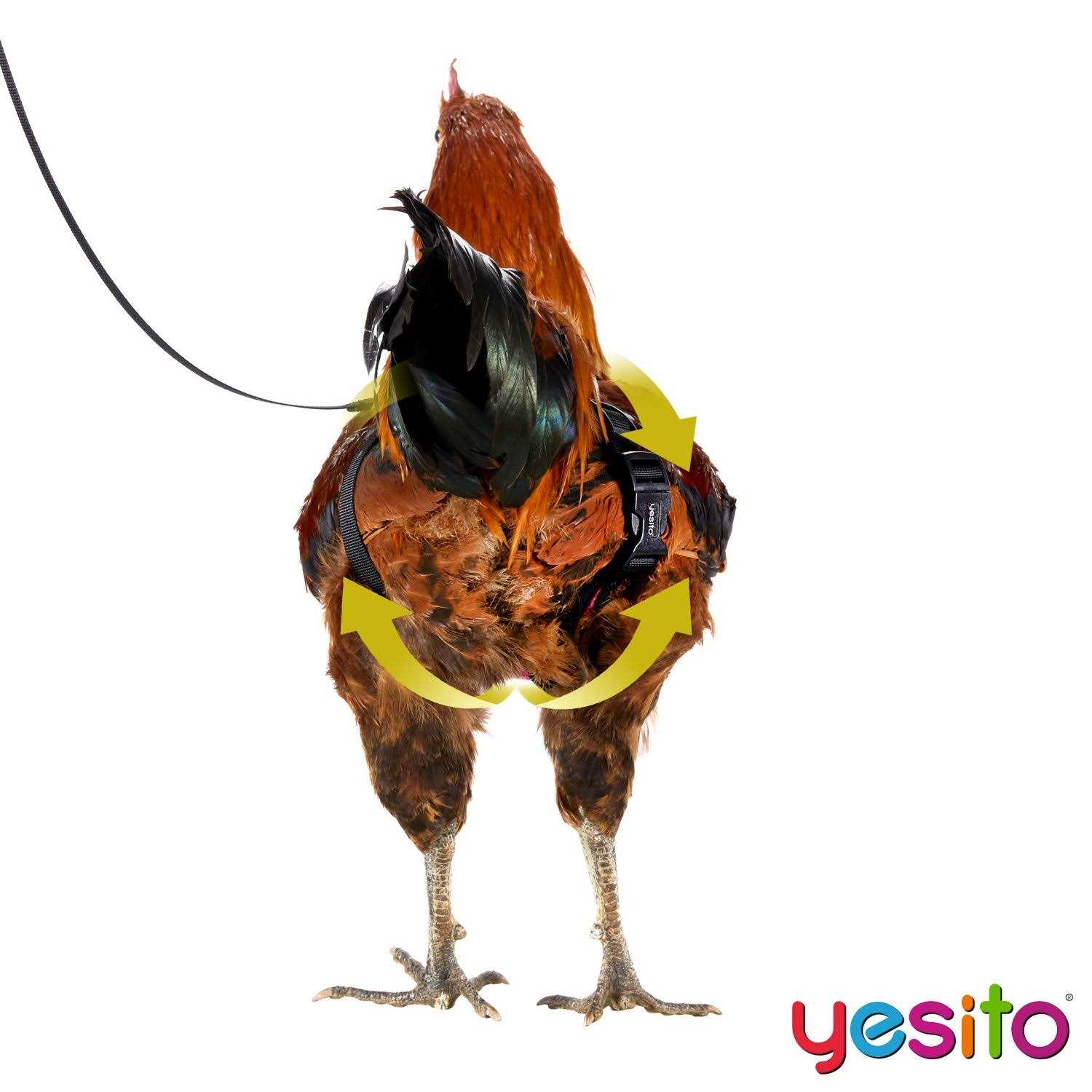 Yesito Chicken Harness Hen Size with 6ft Matching Leash - Pet Supplies online store