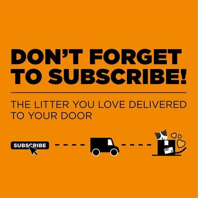 Arm Hammer Slide Platinum Easy Clean-Up Clumping Cat Litter - Pet Supplies online store