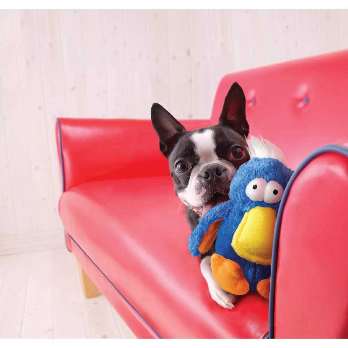 Kong Dodo Bird Dog Toy - Pet Supplies online store